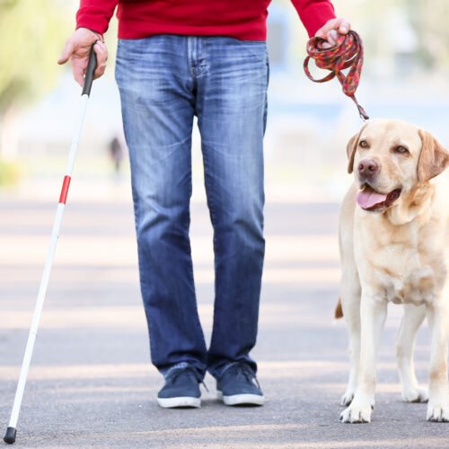 Le negaron viajes por llevar su perro lazarillo… Lyft pagará 63 mil dólares a estudiante ciega