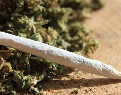 Minnesota exigirá educación sobre cannabis en escuelas a partir del próximo ciclo escolar