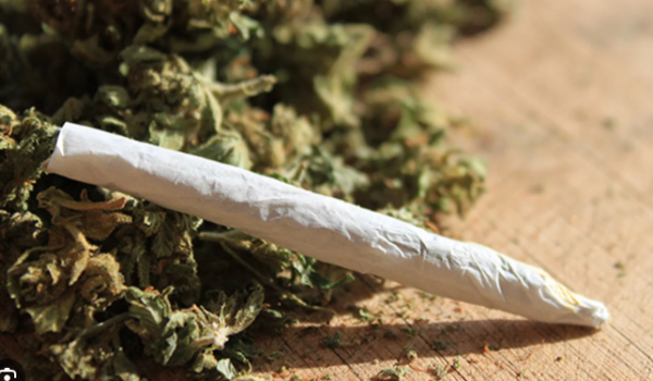Minnesota exigirá educación sobre cannabis en escuelas a partir del próximo ciclo escolar