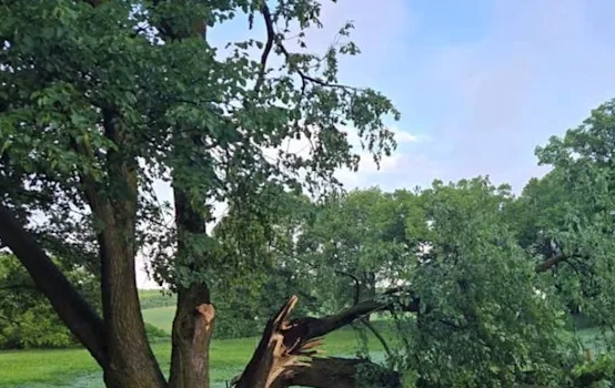 Fuertes tormentas provocan daños extensos y apagones en Hoffman