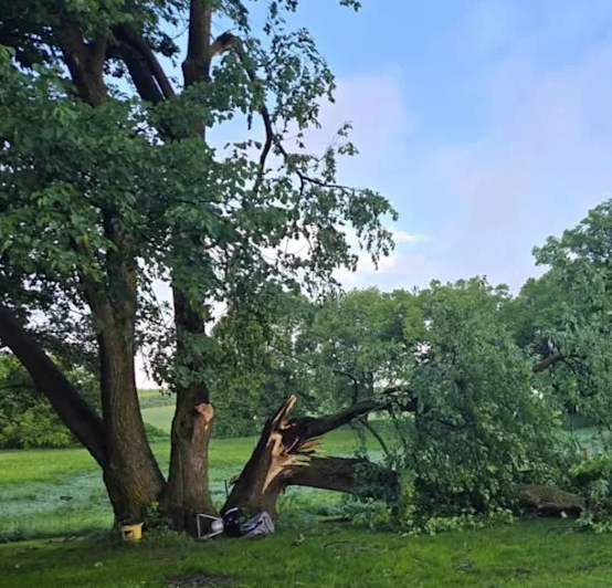 Fuertes tormentas provocan daños extensos y apagones en Hoffman