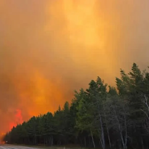 Gobernador Tim Walz declara estado de emergencia y moviliza a la Guardia Nacional por incendios forestales en Minnesota