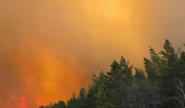 Gobernador Tim Walz declara estado de emergencia y moviliza a la Guardia Nacional por incendios forestales en Minnesota