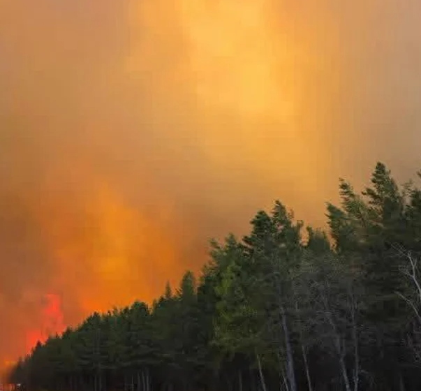 Gobernador Tim Walz declara estado de emergencia y moviliza a la Guardia Nacional por incendios forestales en Minnesota