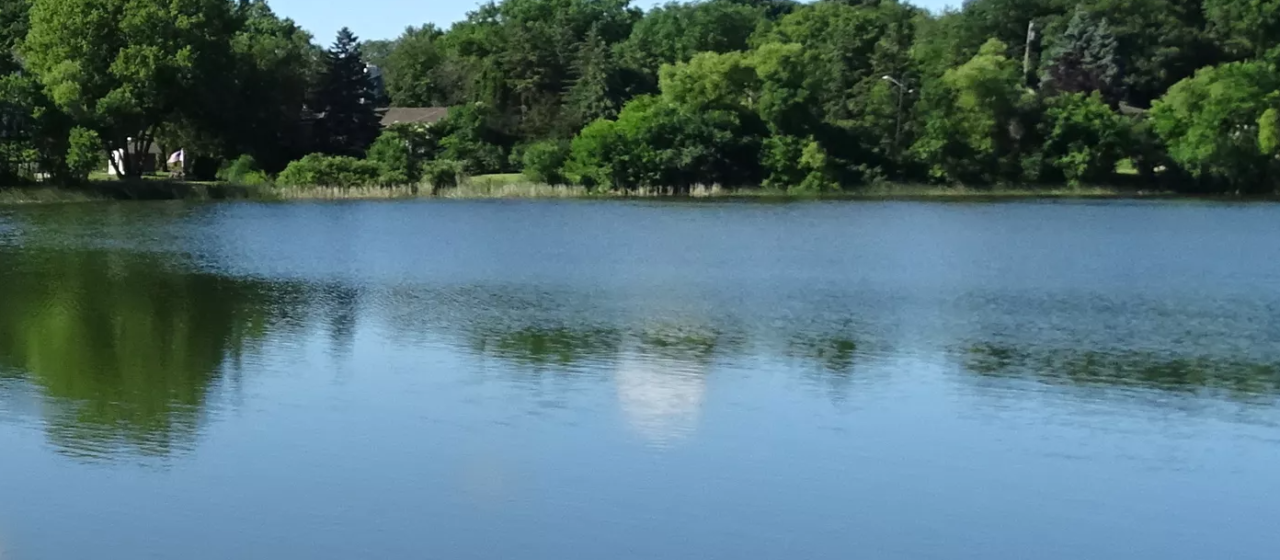 Edina pide evitar todo contacto con el agua del Lago Cornelia por presencia de toxinas de algas