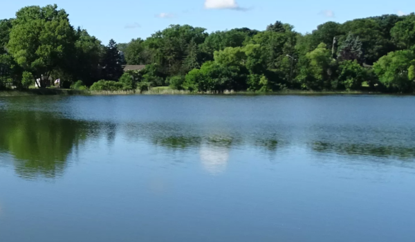 Edina pide evitar todo contacto con el agua del Lago Cornelia por presencia de toxinas de algas