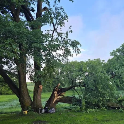 Fuertes tormentas provocan daños extensos y apagones en Hoffman