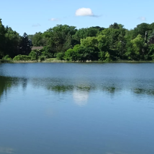 Edina pide evitar todo contacto con el agua del Lago Cornelia por presencia de toxinas de algas