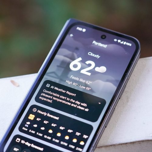 Zoológicos advierten pérdidas económicas por pronósticos inexactos en apps del clima
