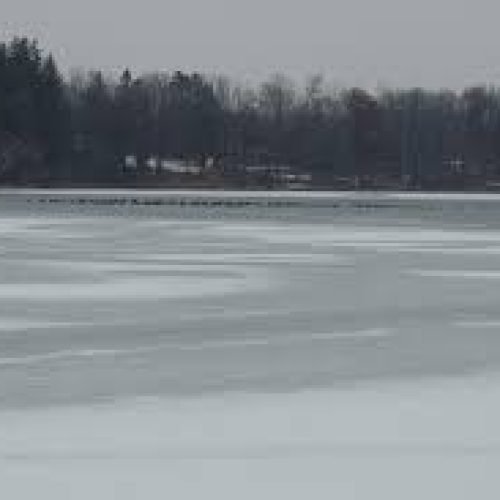 Niño muere tras caer a estanque congelado en Bloomington